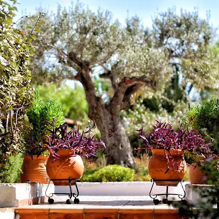 Luxurious By The Sea * Posidhonía