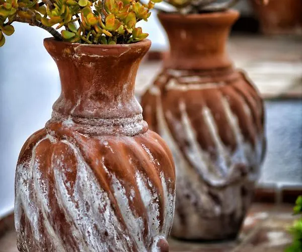 Luxurious By The Sea *